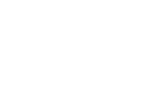 CONNECTOLOGY
